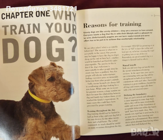 Обучение на кучета - 10-седмичен курс / Dog Training Handbook A 10-Week Training Course, снимка 4 - Енциклопедии, справочници - 53883029