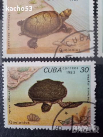 1983 г. Костенурки. Куба, снимка 4 - Филателия - 45430999
