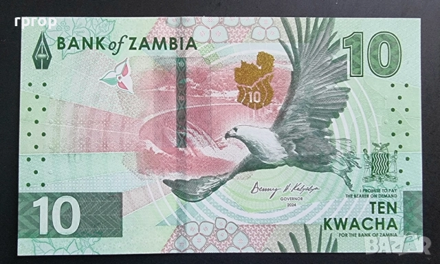 Замбия .10 , 20, 50 и 100 квача. 2024 год. Най новата серия. UNC., снимка 7 - Нумизматика и бонистика - 50056376