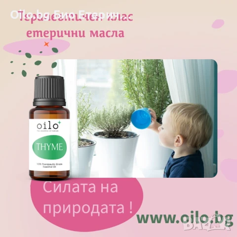 Натурална защита за вашите деца! Етеричното масло от мащерка от #Oilo е богато на #тимол и #карвакро