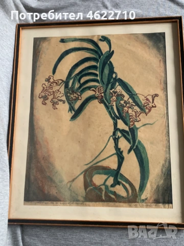 картина цвете 