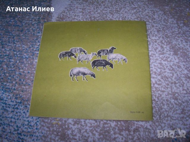 "Двете овчарчета" Соц детска пропагандна книжка, снимка 6 - Детски книжки - 46219279