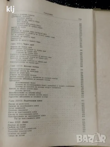 Частна хирургия, снимка 7 - Специализирана литература - 47741181