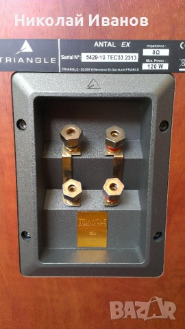 Тонколони Triangle Antal EX, снимка 2 - Тонколони - 52787177