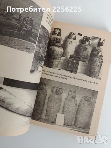 Очите на сфинкса, снимка 4 - Художествена литература - 52915215