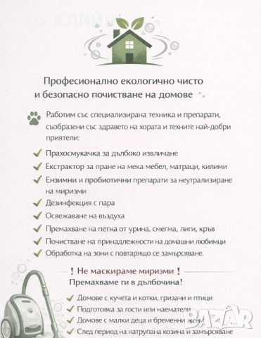 БЛУ КЛИЙН - професионално екологично почистване - ТОП ЦЕНИ, снимка 3 - Други услуги - 53911704