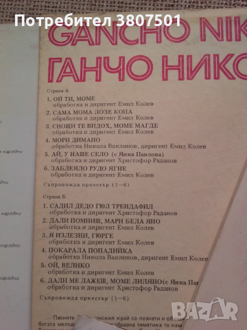 Народна музика-грамофонни плочи, снимка 5 - Грамофонни плочи - 53130869