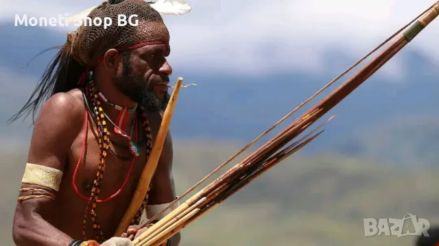 Боен лък Папуа Нова Гвинея, снимка 2 - Ловно оръжие - 49659360