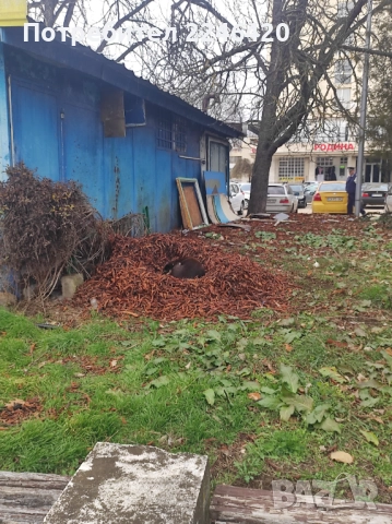 Бубка търси дом! , снимка 7 - Други - 52928376