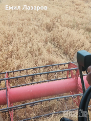 Овес,жито,третикале, снимка 6 - Коне - 51225144