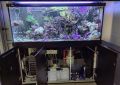 Професионално осветление за соленводен / морски аквариум , снимка 1 - Оборудване за аквариуми - 45778598