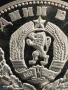 Сребърна монета 25 лева 1981г. НРБ МАЙКА с ДЕТЕ за КОЛЕКЦИОНЕРИ 26922, снимка 3