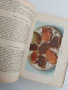 Книга за домакинята, снимка 2