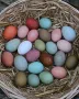 Цветни разплодни яйца, пъстри и разноцветни , снимка 3