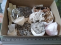 Sale, Кутия с минерали от България,естествени кристали и камъни, за колекционери геолози любители,, снимка 2