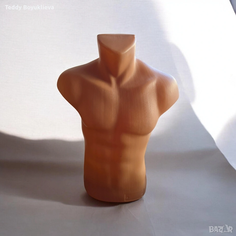 Мъжки торс, снимка 1