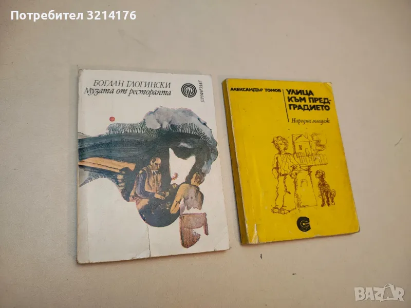 Музата от ресторанта - Богдан Глогински, снимка 1