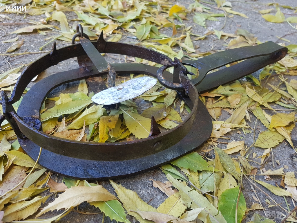 Голям стъпков капан със зъби , снимка 1