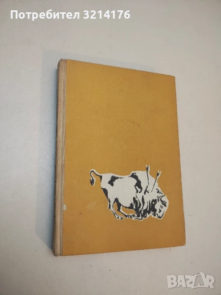 Моят живот сред индианците - Джеймс У. Шулц, снимка 1