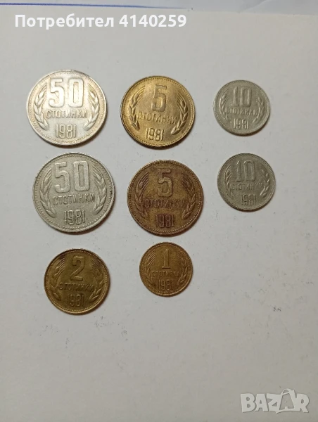 Български монети Стотинки 1981 г , снимка 1