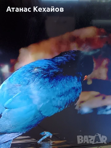 TV Samsung , снимка 2 - Телевизори - 53888815