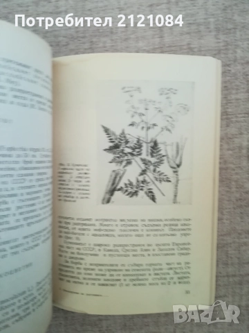  Използване на растенията за борба с неприятелите в селското стопанство, снимка 8 - Специализирана литература - 51787996