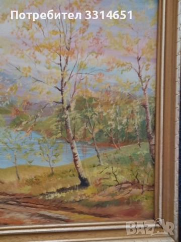 Маслена живопис - прекрасна стара картина , снимка 2 - Картини - 52849952