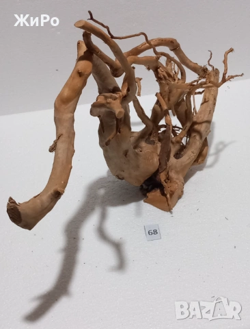 Корен от Азалия /декорация/ 68, снимка 3 - Други - 54102495