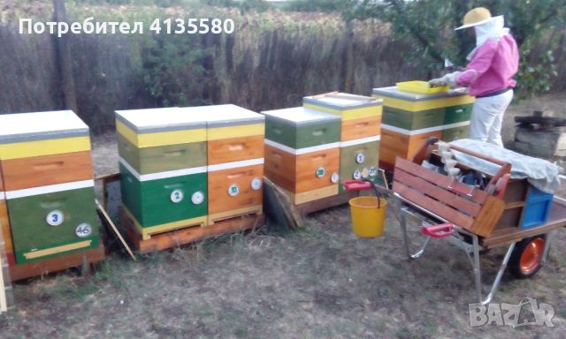 Кошери-ДБ10ки, нови, за добив на прашец и клей, и подвижно пчеларство., снимка 18 - За пчели - 46276356