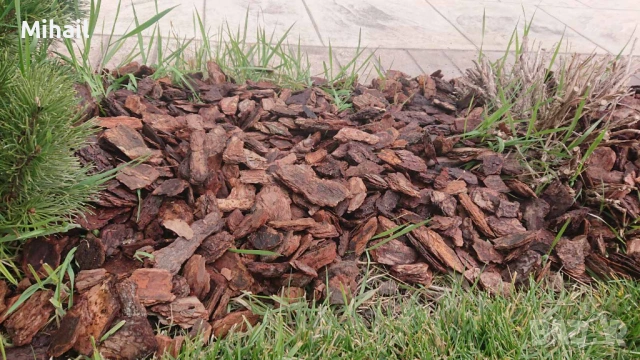 Боров чипс/ боров мулч 10.50Е, снимка 3 - Градински мебели, декорация  - 53930024