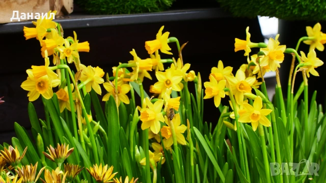 20MP, 4K/30fps YI M1 Mirrorless + 12-40mm f/3.5-5.6 М4/3 обектив, снимка 11 - Фотоапарати - 53946891