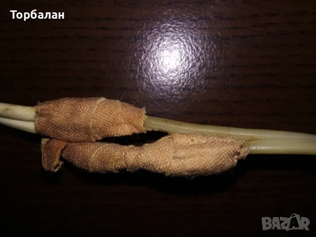 Телевизорче от соц-а, снимка 18 - Антикварни и старинни предмети - 50431084