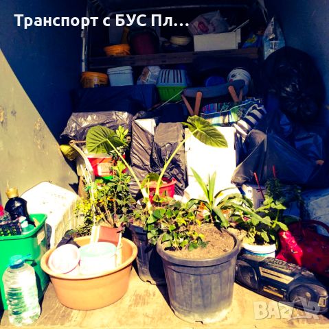 Хамалски услуги за Пловдив, преместване на дом, кърти чисти и извозва, снимка 1 - Хамалски услуги - 45773176
