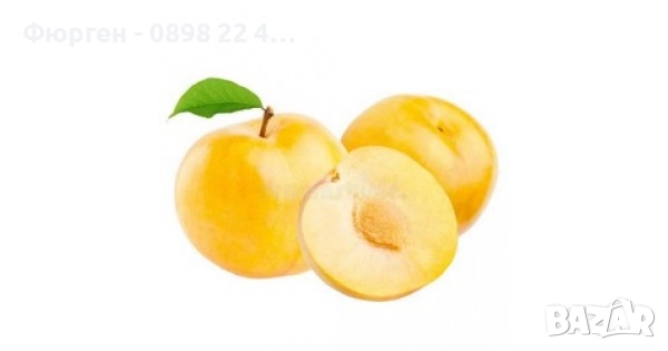  Плодни дръвчета, снимка 16 - Разсади - 52508208