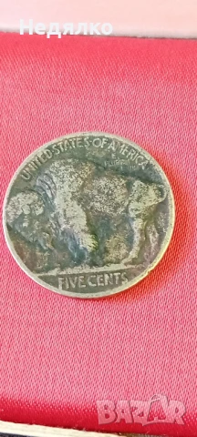 5 цента 1913г,никелов бизон,индианска глава,куриоз , снимка 2 - Нумизматика и бонистика - 51339354