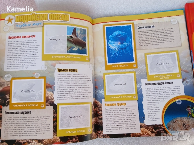 Billa Стикер-албум - Рекорди в света на животните, снимка 2 - Енциклопедии, справочници - 51702606