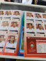 Албум panini euro 2008 г, снимка 3