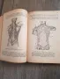 Книга"Анатомия на човека" Проф. Георги Гълъбов и проф.Гоцев 1955година, снимка 3