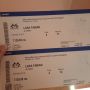Два билета за концерт на Лара Фабиан, снимка 1 - Билети за концерти - 45414408