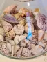масивна стъклена купа с колекция морски миди, рапани и охлюви   7/4, снимка 3