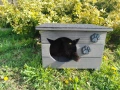 Къща за котки, Компакт, къщичка за коте, къщички за котета, колиби, снимка 5