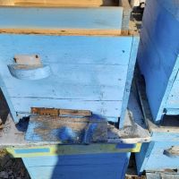 Пчелни кошери, ДБ-12 рамкови, в комплект с по 1 магазин, снимка 4 - За пчели - 42385144