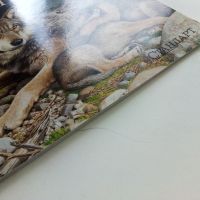 В света на - Вълците и дивите кучета - 2003г., снимка 10 - Енциклопедии, справочници - 45625469