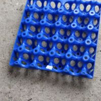 Пластмасова кора за 20 бр. гъши или пуешки яйца, снимка 4 - За птици - 45424043