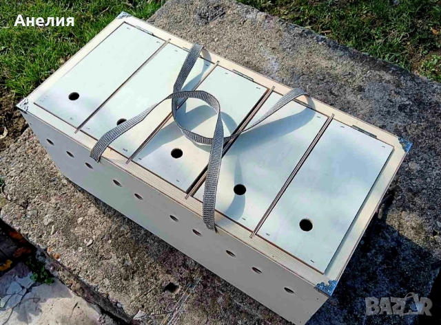 Преноска за гълъби за изложби, снимка 2 - Гълъби - 52112910