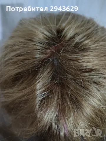 Перука от естествен косъм , снимка 4 - Аксесоари за коса - 50049129