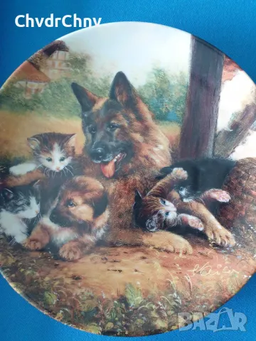 9бр Seltmann/ЗЕЛТМАН Бавария немска колекционерска декоративна порцеланова чиния-картина/животни, снимка 10 - Картини - 48371239