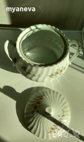 Български порцелан,супник , голяма плато , чиния (40 см), чинии за ядки и мезета (7 бр.)., снимка 3 - Чинии - 51379915