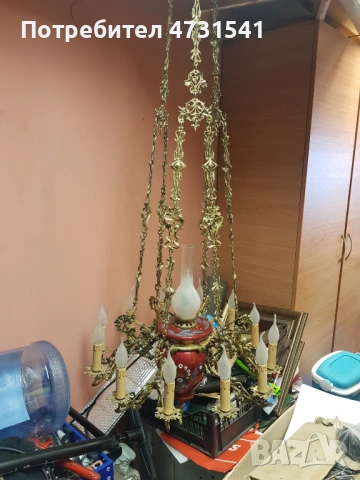 Полилей, снимка 11 - Полилеи - 53398820