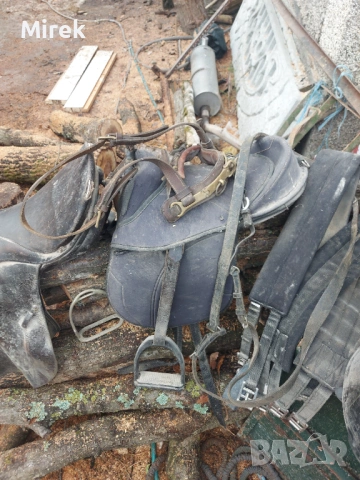 9-годишна кобила за продажба, снимка 4 - Коне - 53794001